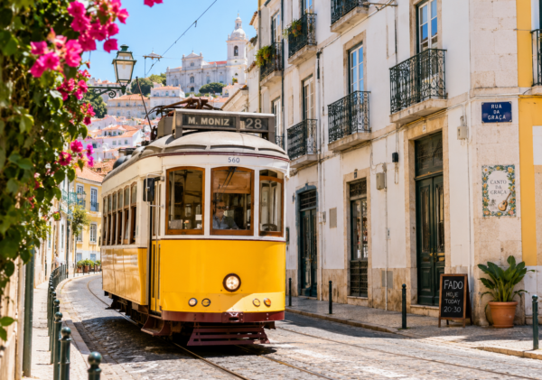 ChatGPT Image 16 Haz 2026 23_01_28 ChatGPT Image 16 Haz 2026 23_01_28